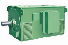 Y系列（6KV、10KV）高壓三相異步電動(dòng)機(jī) Y系列電機(jī)