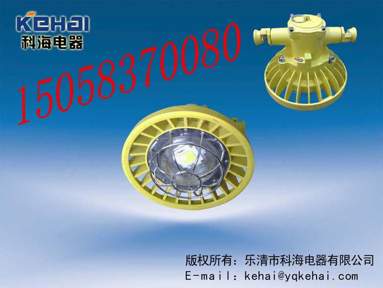 礦用隔爆型LED巷道燈，礦用LED巷道燈價(jià)格，DGS-18/127