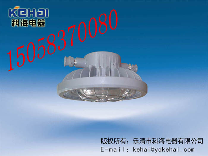 DGS70/127L(A)礦用隔爆型LED巷道燈，礦用LED巷道燈