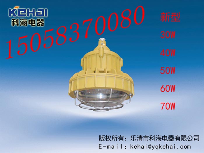 免維護(hù)LED防爆燈價(jià)格，BED-II40WLED防爆燈圖，免維護(hù)LED