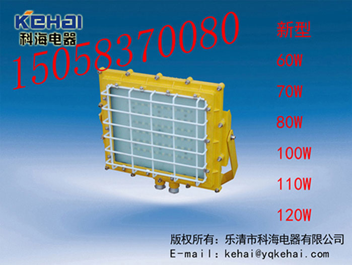 BED-80WLED防爆燈，BED-80W免維護(hù)LED防爆燈