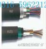 天津暢銷計算機DJYpv電纜簡介+計算機DJYpv電纜銷售