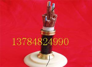 暢銷計算機(jī)DJYpv電纜簡介+計算機(jī)DJYpv電纜銷售[天聯(lián)】