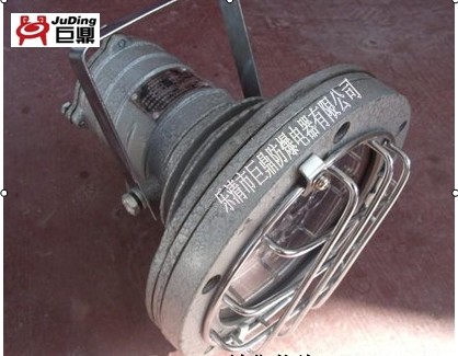 DGY20/127L（A）型礦用隔爆型LED投光燈，礦用LED投光燈，防爆投光燈