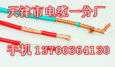 吳江耐高溫計算機(jī)電纜型號,吳江耐高溫DJFVP,