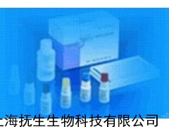小鼠細(xì)胞間粘附分子1檢測(cè) 小鼠ELISA試劑盒 小鼠酶聯(lián)免疫試劑盒