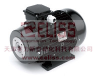 賽力斯專供意大利NICOLINI MOTORI電機