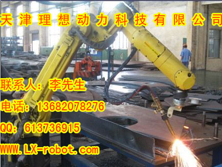 山東不銹鋼焊接機(jī)器人生產(chǎn)企業(yè)  碼垛機(jī)器人廠家