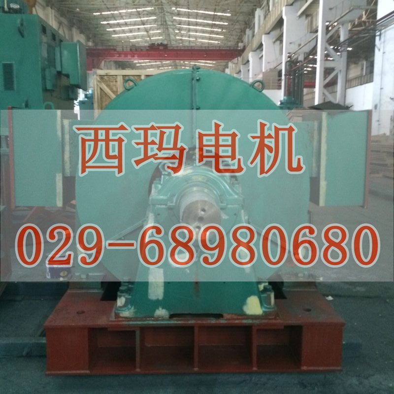 YE4-315L2-6電機廠家直銷