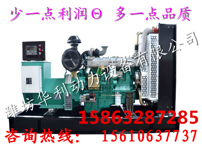 玉柴股份200kw大型柴油發(fā)電機(jī)組 電啟動(dòng)交流式無刷水冷柴油發(fā)電機(jī)