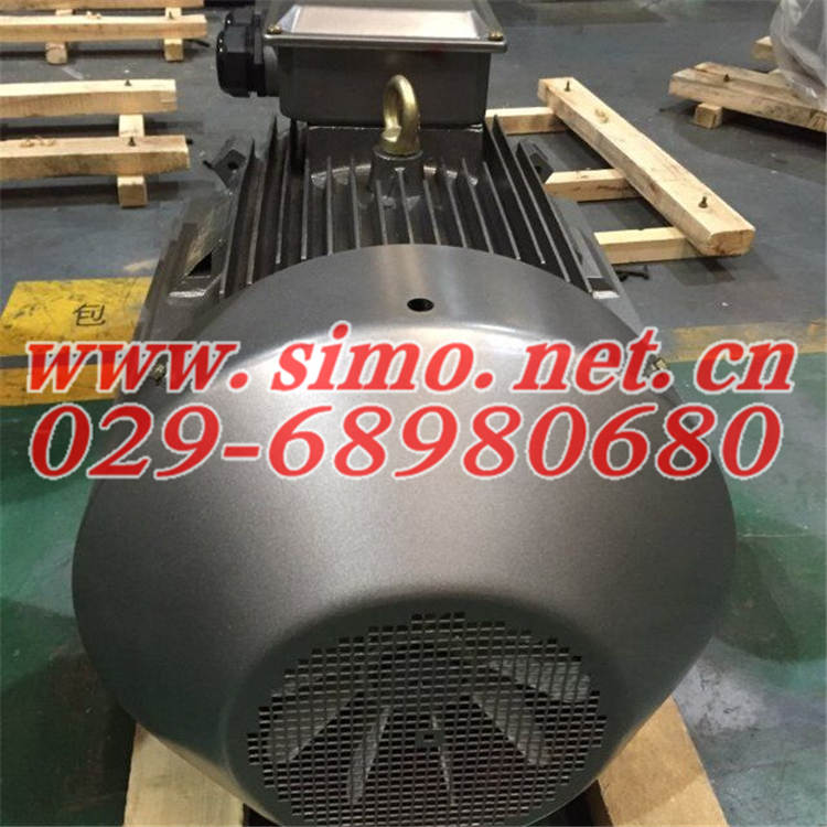YGM250M-6/37KW泰富西瑪交流電動(dòng)機(jī)