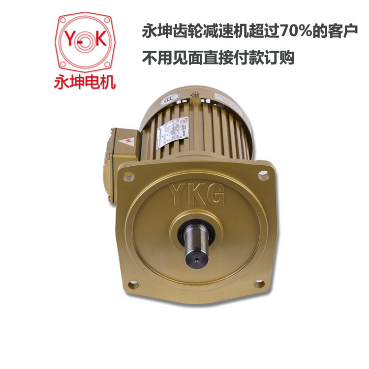 山東永坤標(biāo)準(zhǔn)三相立式馬達(dá)，V為立式安裝形式