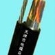 HYA-電話電纜規(guī)格，HYA電話線 通信線纜廠家