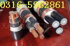 礦用  電力  電纜  MYJV  YJV