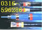 電話  電纜  HYA、HYAC、HYAT、HYA53、HYAT53