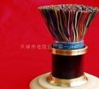 電力電纜VV、VV22、YJV22、YJV