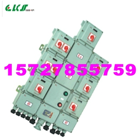 ●BXM(D)52/BXM(D)51●防爆照明動力配電箱，BDX51,BXM(D