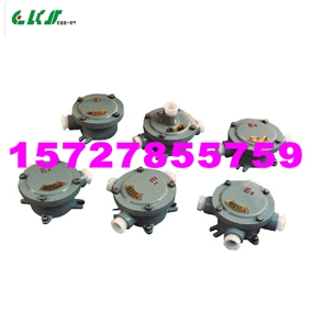 >>依客思*AH防爆接線盒>> AH-1/2、AH-3/4、AH-G1