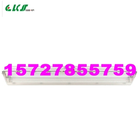BAY51-Q，BCX6225粉塵防爆防腐單管熒光燈，BCX6226粉塵防爆防腐