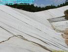 北京上海天津膨潤土防水毯廠家物美價(jià)廉歡迎來電