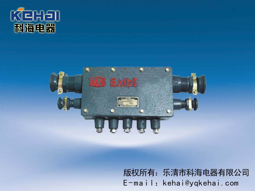 供應(yīng)本安接線盒，本安電路用接線盒  電話接線盒  通信接線盒  電纜接線盒