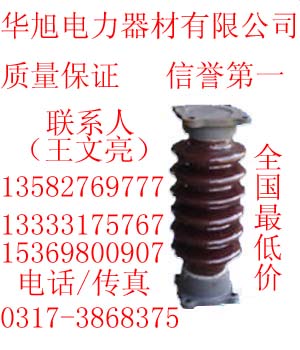ZS-110/400戶(hù)外支柱絕緣子 ZSW-20/30戶(hù)外支柱絕緣子生產(chǎn)廠家