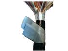 HCJVVP22；HCJVV22程控局用交換機(jī)電纜HYA