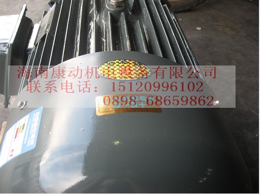 開平東格 國標Y802-41 全銅0.75KW-4極 電機 批發(fā) 質量保證