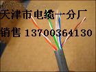 大連廣播通信電纜銷售，大連HPV大連廣播通信線價格，