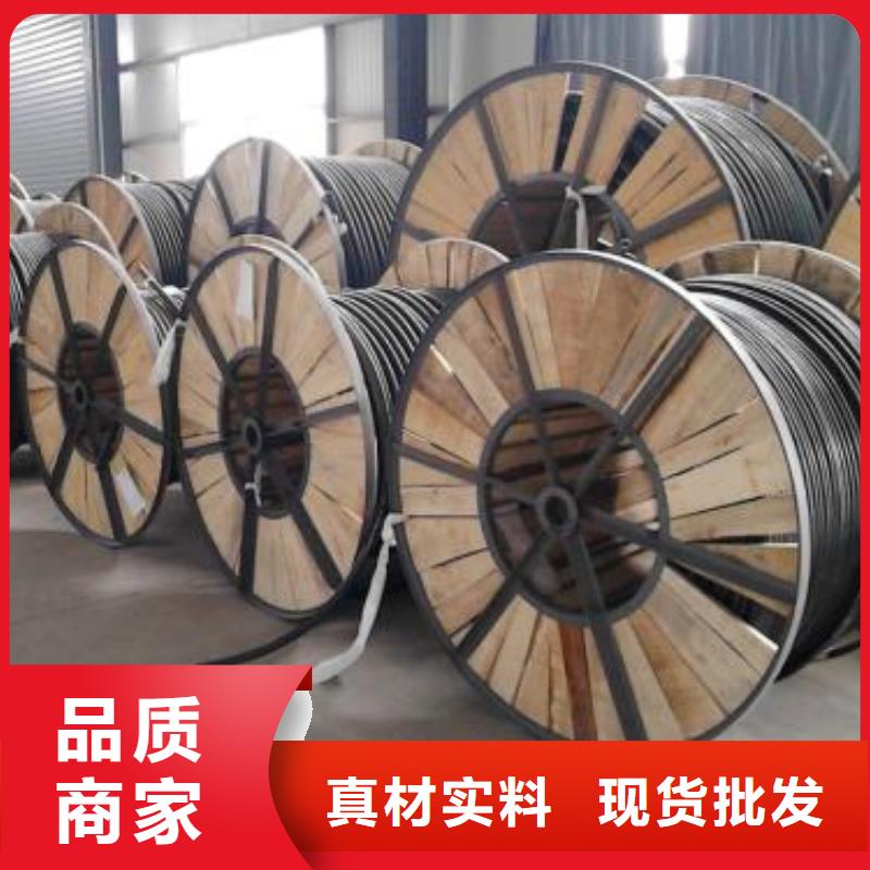 25X2X1.0ZR-HJYV-阻燃通信電纜