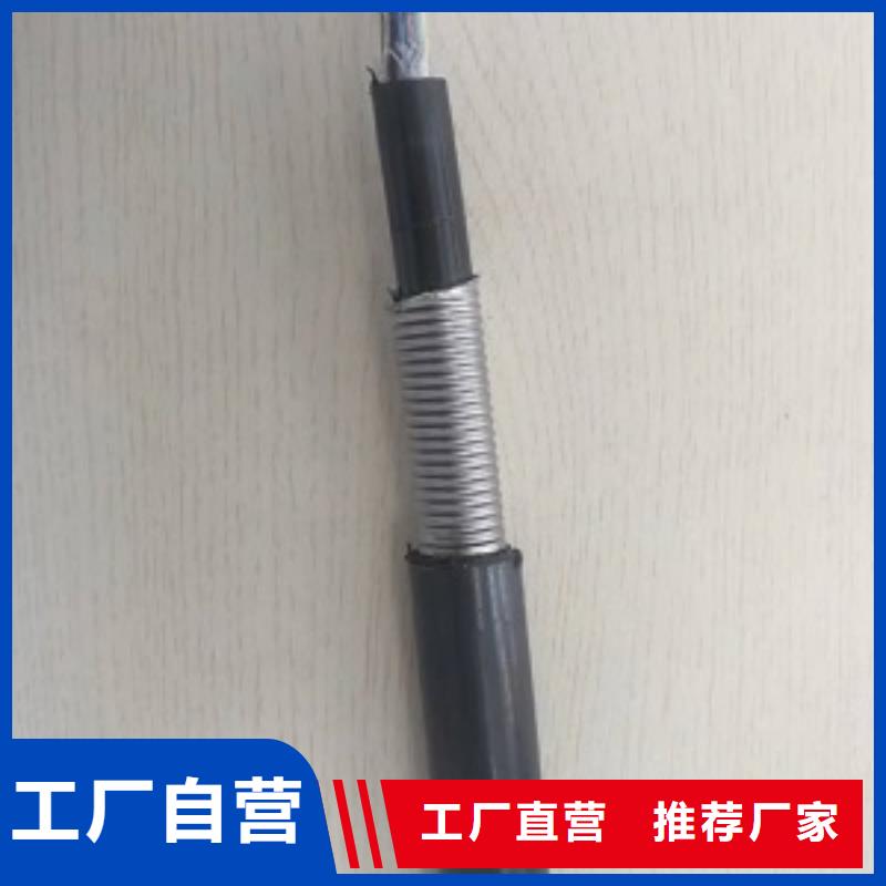 VV32-0.6/1KV-鑫纜元電纜2X185