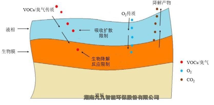 工業(yè)污水廢氣的惡臭治理技術(shù)