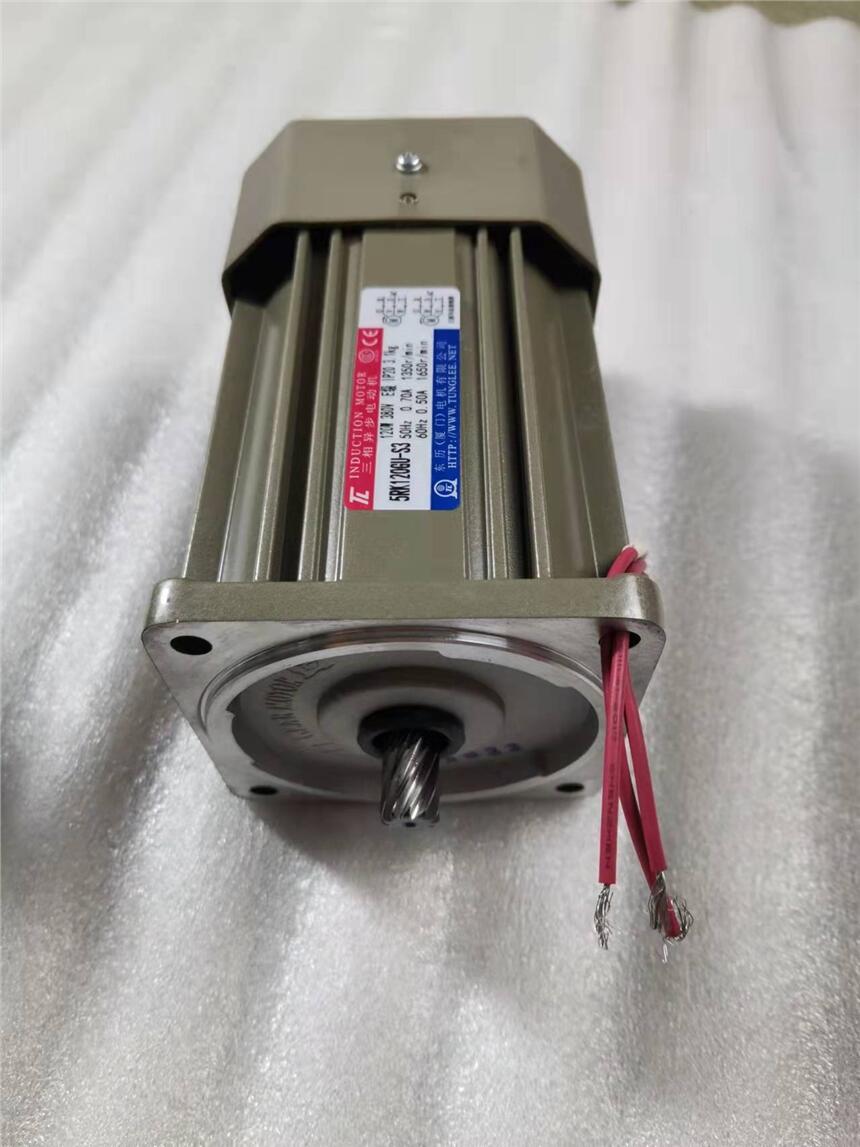 廈門東歷電機(jī)5RK120GU-S3 東歷頻繁啟動電機(jī)