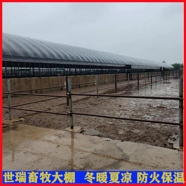 養(yǎng)驢大棚建設(shè) 驢棚施工安裝 驢舍大棚建造廠家