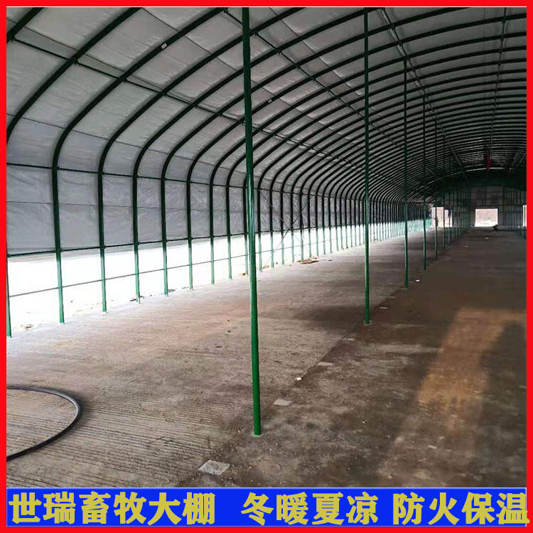 豬舍大棚建設(shè) 養(yǎng)豬大棚安裝 黑豬養(yǎng)殖大棚搭建廠家
