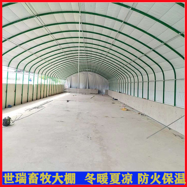 養(yǎng)鵝大棚建設(shè) 散養(yǎng)鵝棚搭建 雞鴨鵝養(yǎng)殖大棚安裝廠家