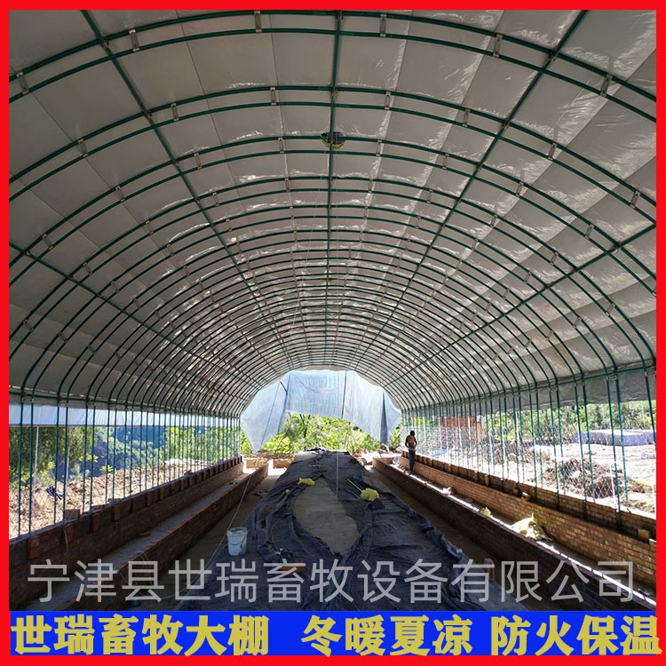 養(yǎng)鵝大棚搭建 散養(yǎng)鵝棚建設(shè) 保溫鵝舍大棚安裝廠家