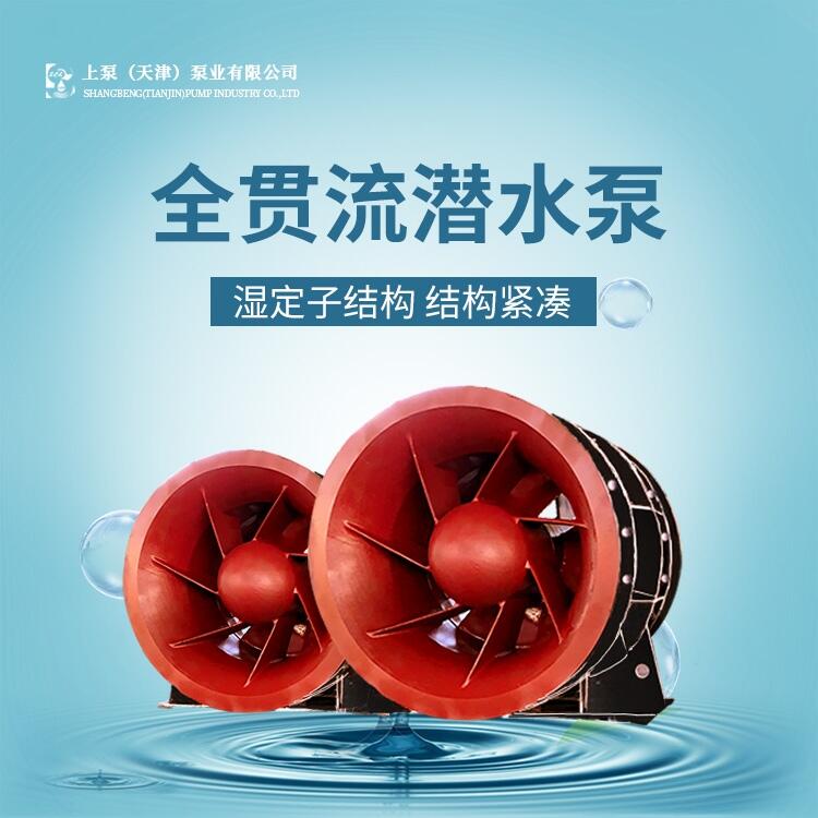 雙向排灌潛水泵_QGWZ貫流潛水泵_全貫流泵型號參數(shù)_貫流泵品牌
