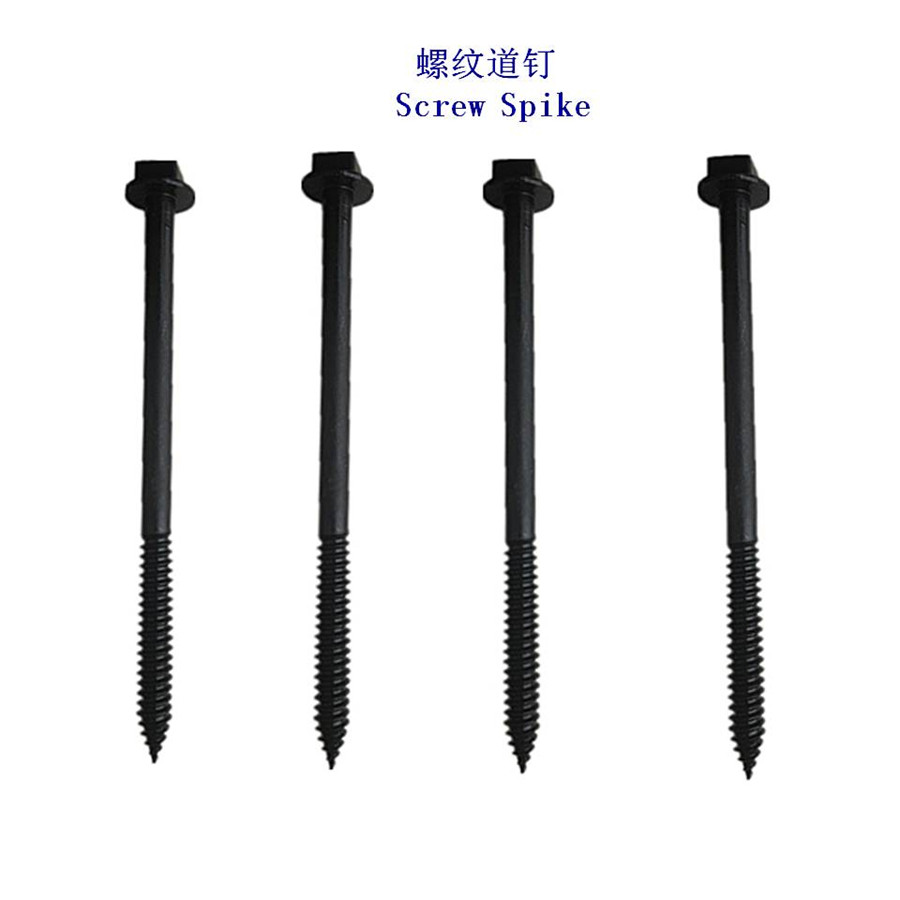 安哥拉Ss24螺旋道釘生產(chǎn)工廠