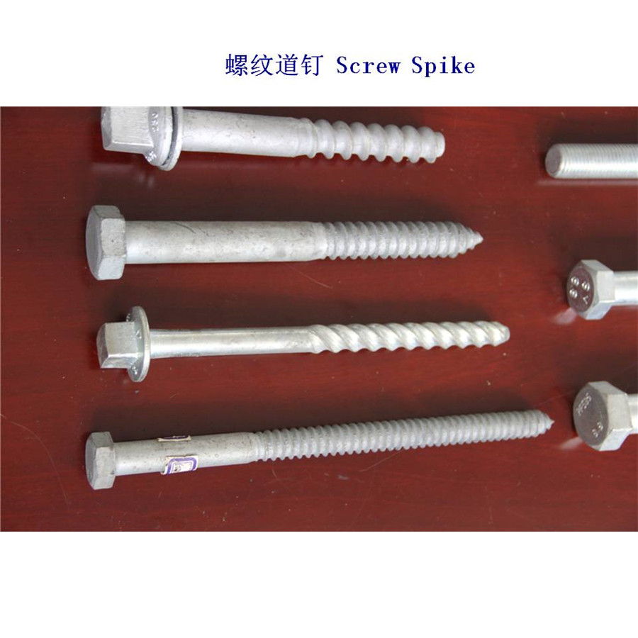 摩洛哥Ss23螺旋道釘工廠