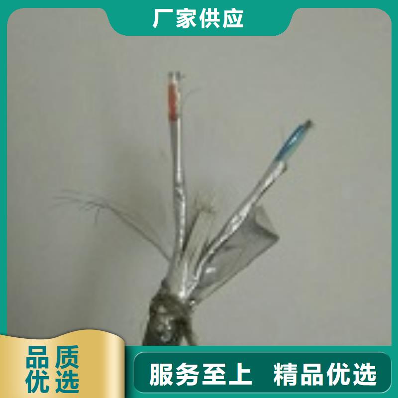 WDZ-PTYL22-電纜48X1.5