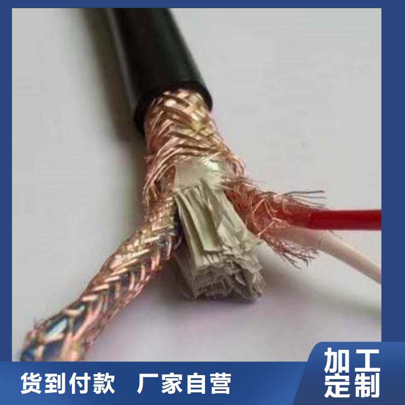 天聯(lián)電纜30X2X0.6HPVV-