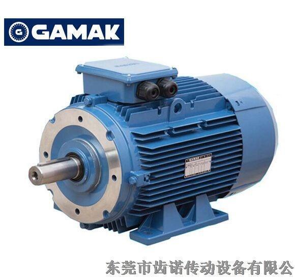 GAMAK電機，GAMAK高效馬達