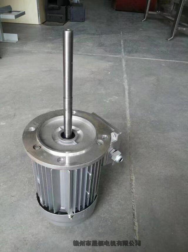 耐高溫長(zhǎng)軸電機(jī)-耐高溫長(zhǎng)軸馬達(dá)-不銹鋼長(zhǎng)軸馬達(dá)-不銹鋼長(zhǎng)軸高溫電機(jī)