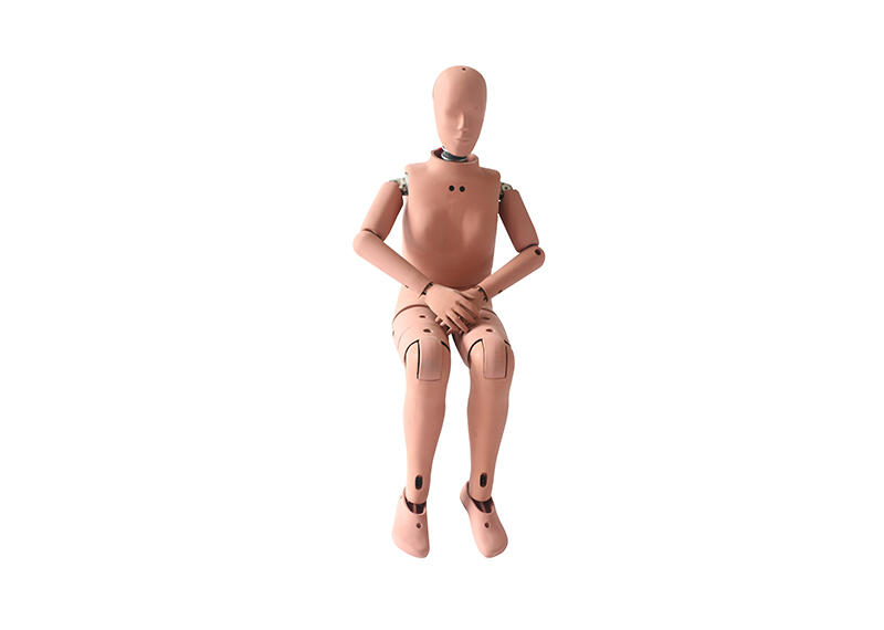 Hybrid Ⅲ 5百分位女性假人