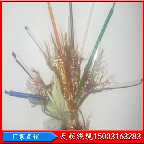 鋼絲鎧裝大對數(shù)礦用電纜天聯(lián)MHYVP20X2X0.5型號齊全，供貨及時(shí)