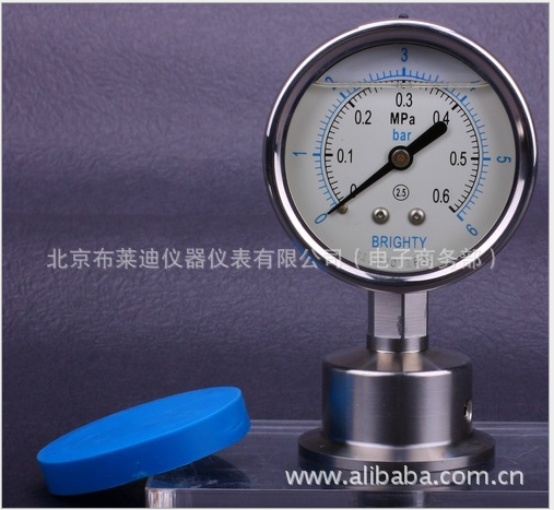 北京布萊迪BLD卡子快裝式衛(wèi)生型隔膜表PTH-98AO513-F6