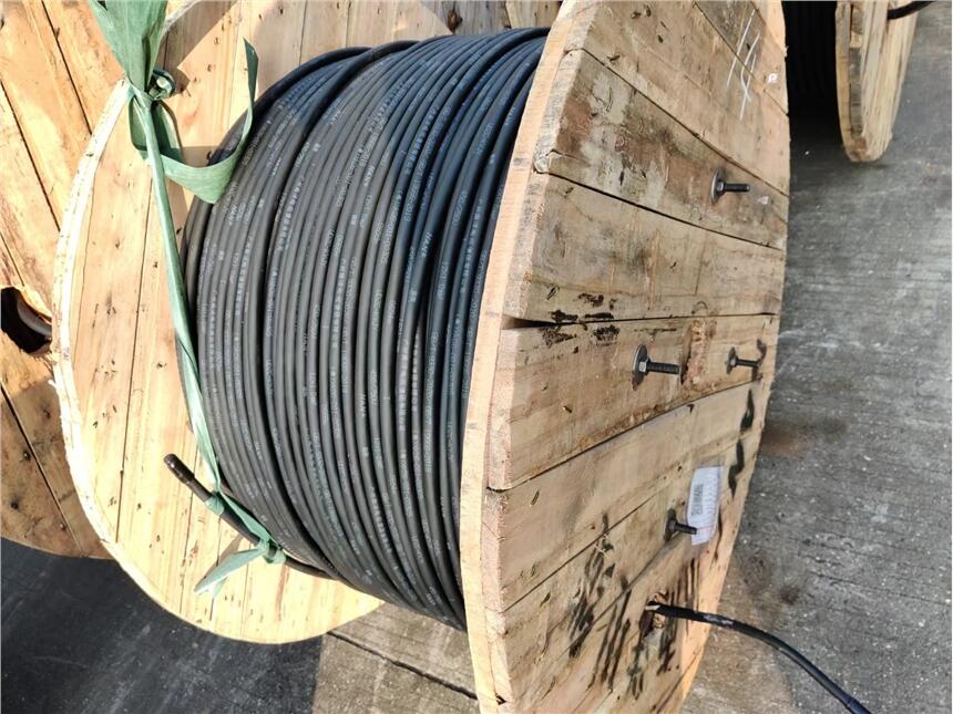 廣州南洋電纜集團WDZC-KYJY-12*1系列低煙無鹵阻燃C類控制電纜！