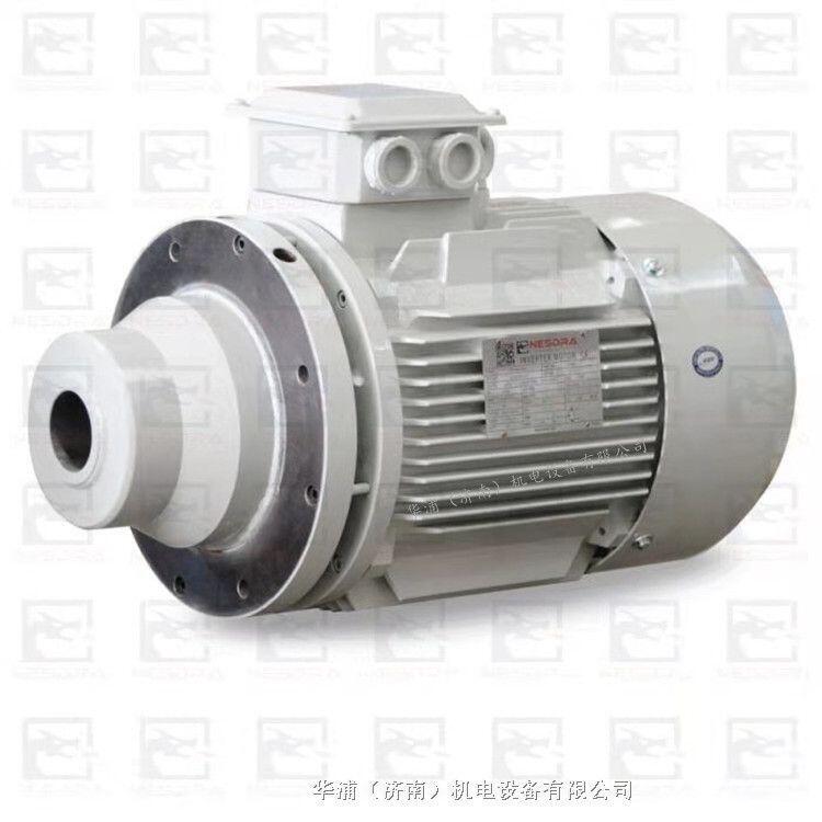 進(jìn)口三相異步電動機(jī)
