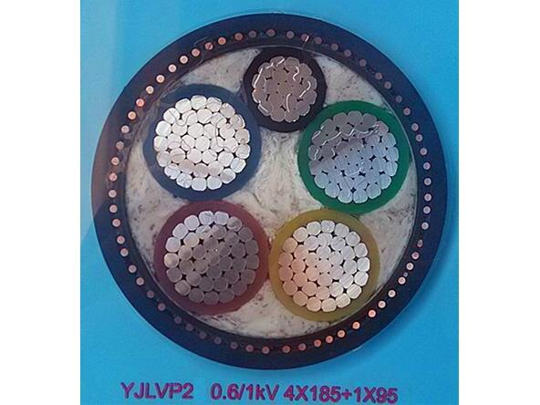 浙江舟山市冀東普天鋁合金電纜交聯(lián)鋁芯鎧裝國標(biāo)品質(zhì)